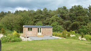 Une petite cabane en bois, dotée d’une porte et de fenêtres, entourée d’une zone herbeuse et d’arbres denses.