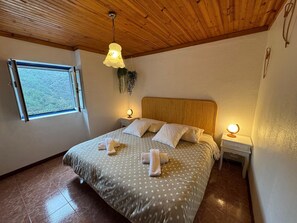 2 slaapkamers, een strijkplank/strijkijzer, reisbedje, gratis wifi