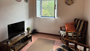 Ett mysigt vardagsrum med en tv, trämöbler, en soffa med ett rutigt överkast och ett fönster med utsikt över grönskan.