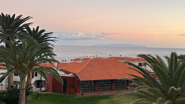 Una propiedad costera con piscina, palmeras y vistas al mar.
