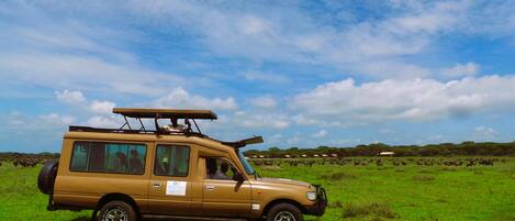 Ein Safari-Fahrzeug steht auf einer grünen Wiese unter blauem Himmel.