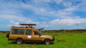 A safari vehicle parked in a grassy field with a clear sky. - Africa Safari Serengeti Kusini  (Bariadi)