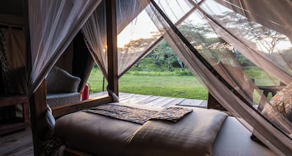 Africa Safari Serengeti Kusini
