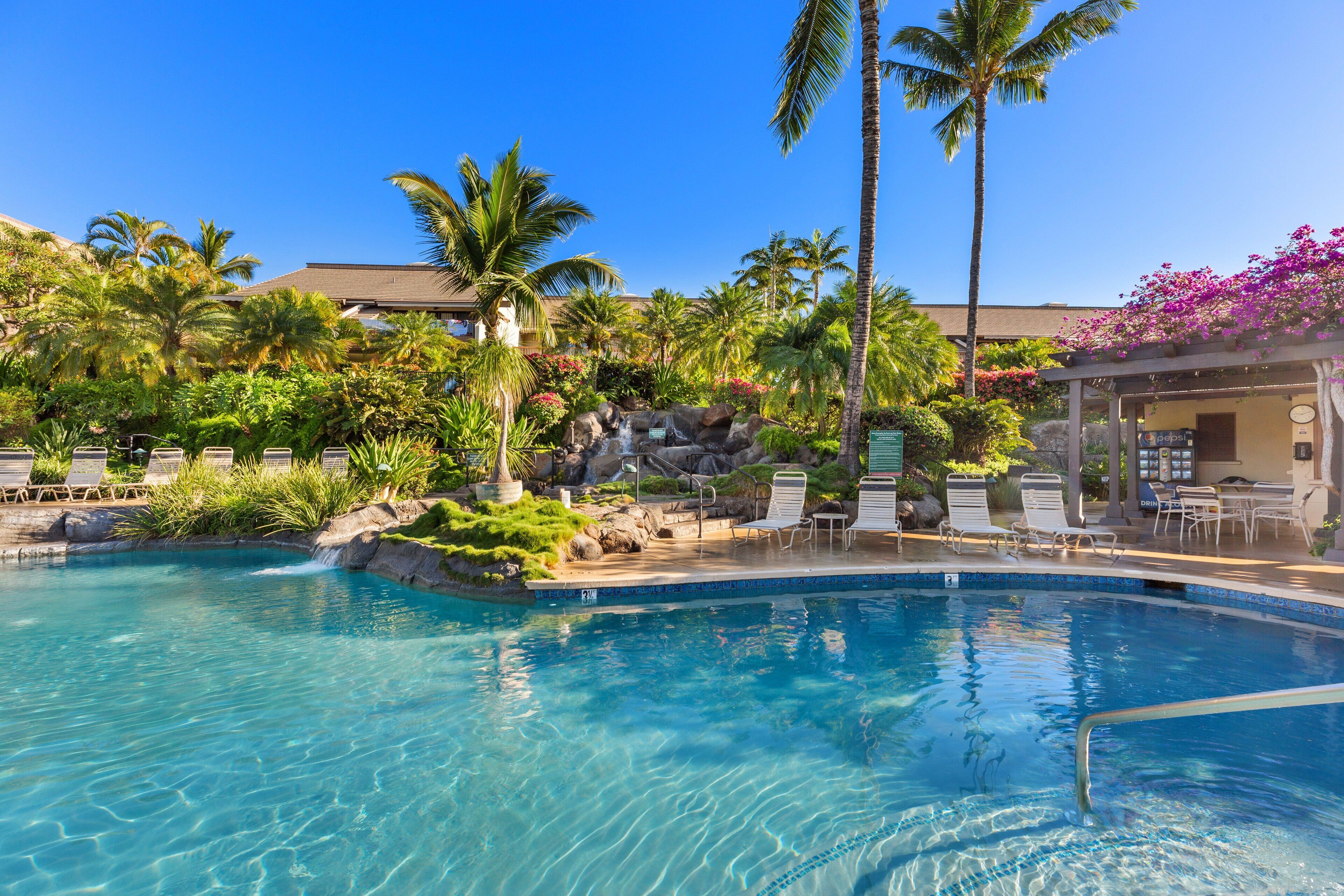 A clear blue pool surrounded by palm trees and lounge chairs, with a view of a building in the background.