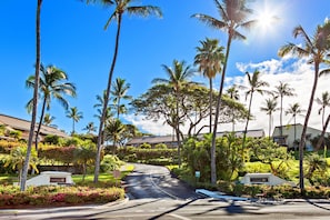 Stroll through a serene, lush neighborhood with palm trees and beautifully manicured shrubs.