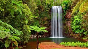 A waterfall surrounded by lush greenery and ferns.