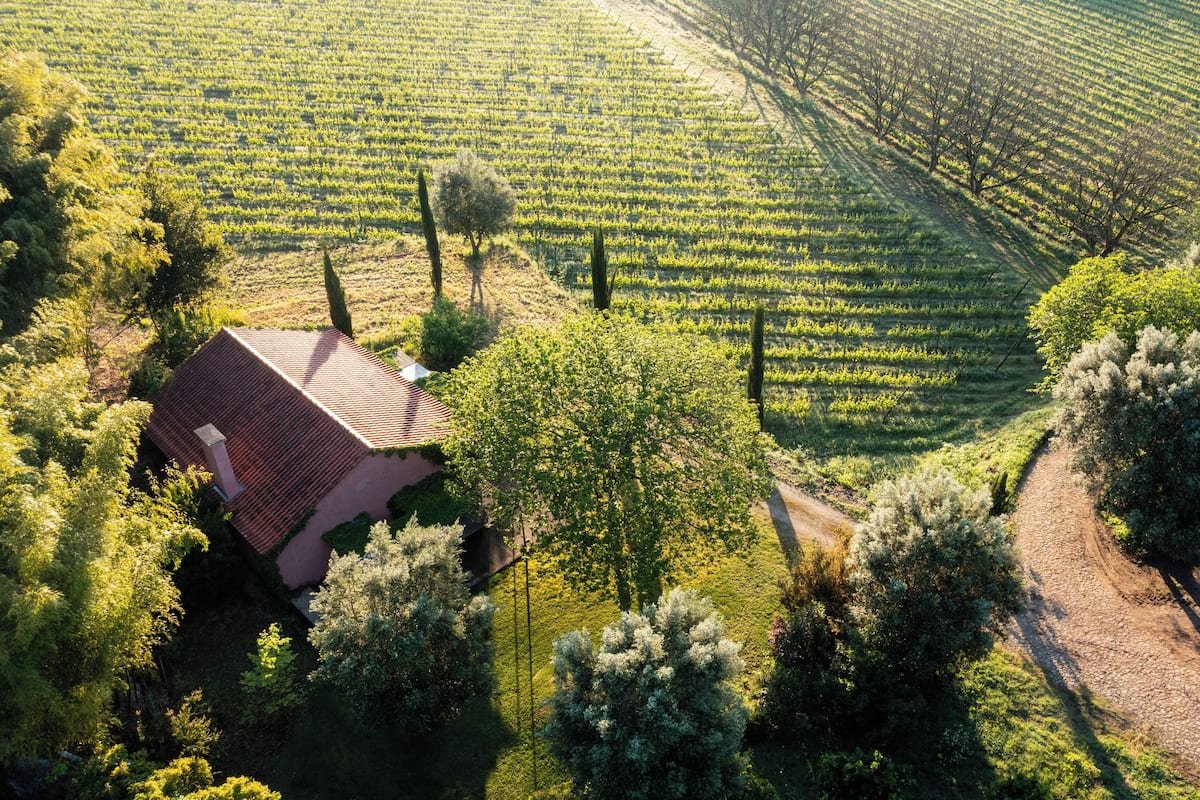 Family Cottage, Vineyard View | 1 bilik tidur, kalis bunyi, Wi-fi percuma