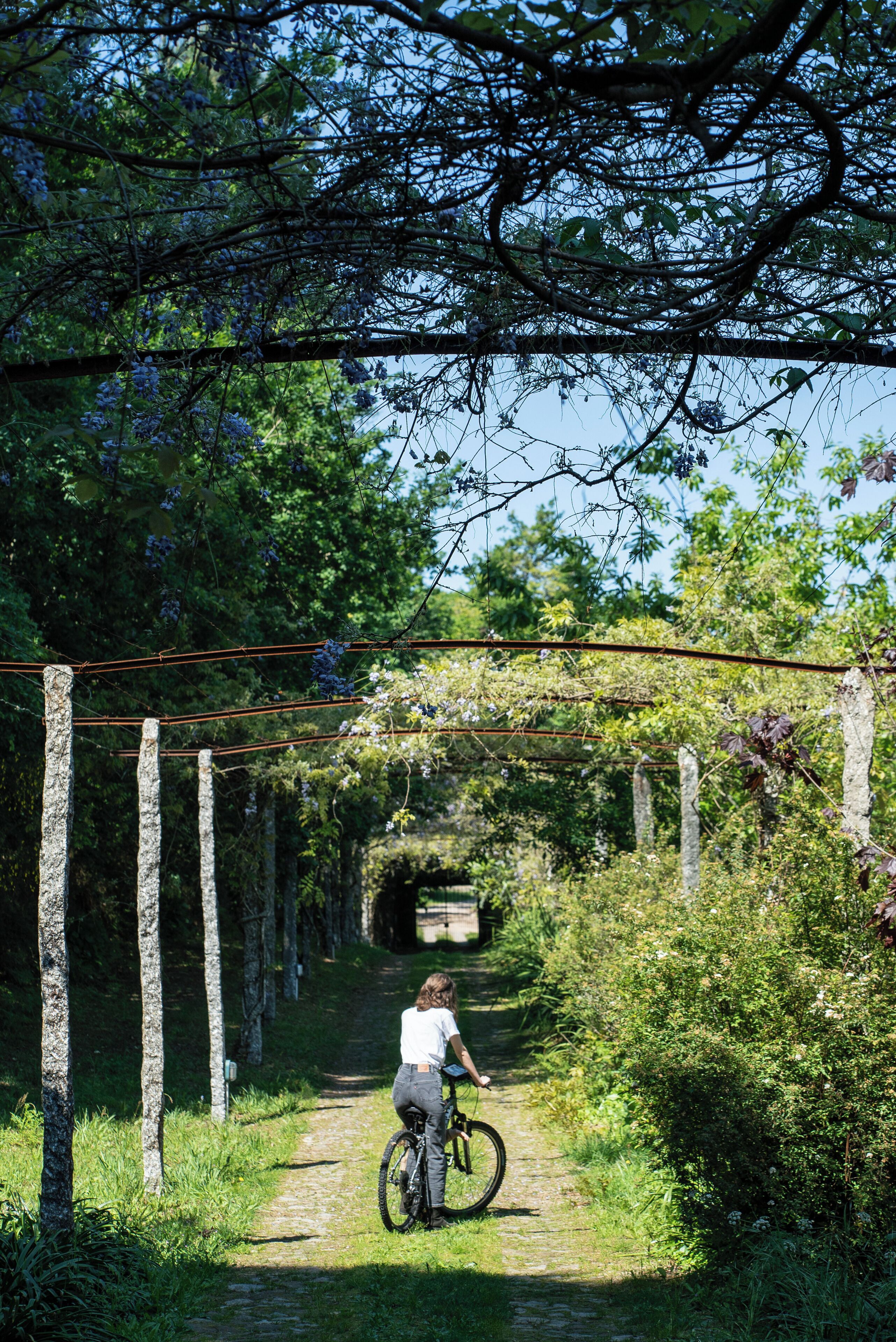 Una persona andando en bicicleta por un sendero estrecho bordeado de árboles y vegetación.