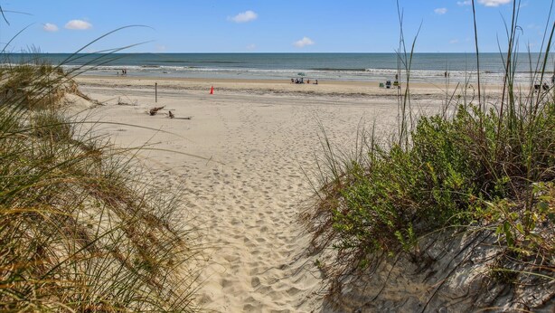 Una spiaggia sabbiosa con dune e vegetazione rada.