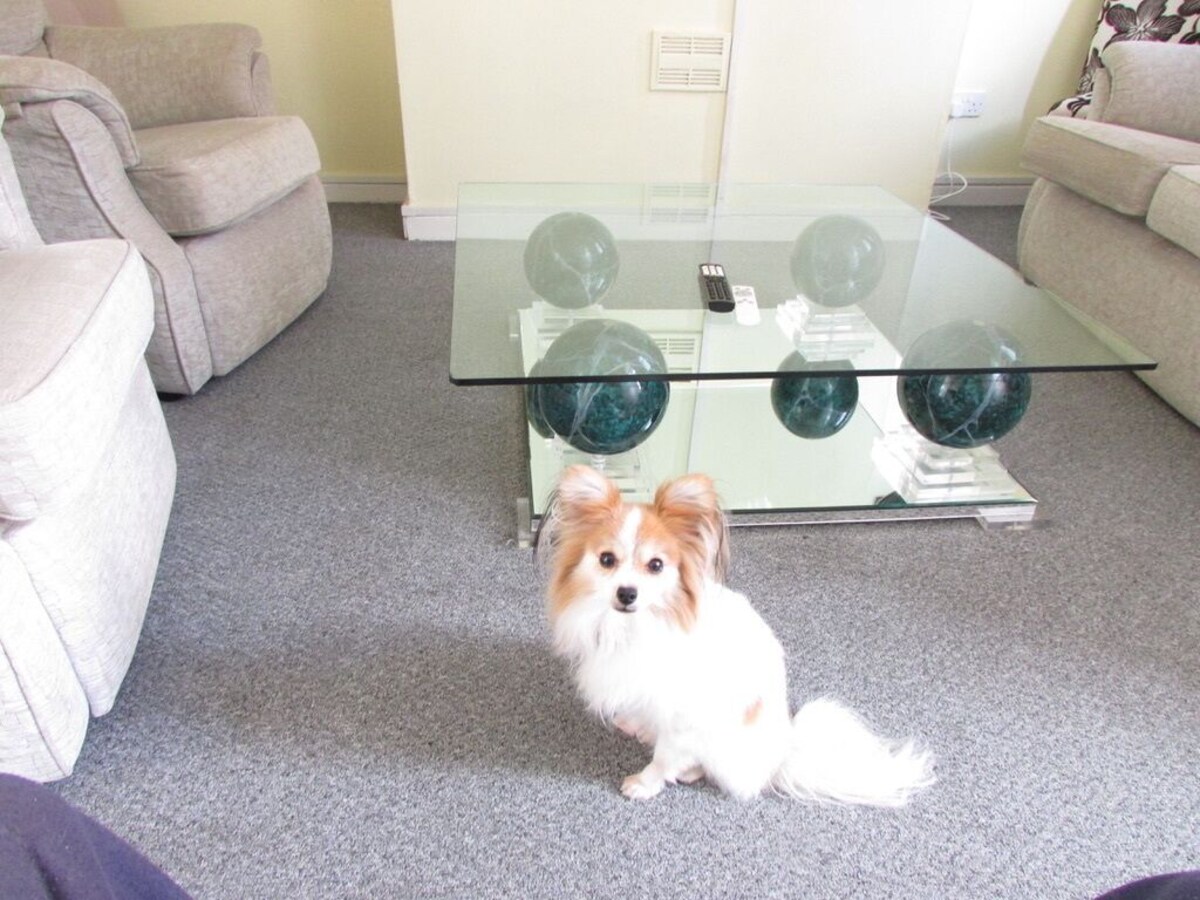 オーナーのプロフィール画像