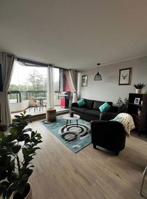 Living area - Pucón Dpto Comodo y Excelente Ubicación (Pucon)