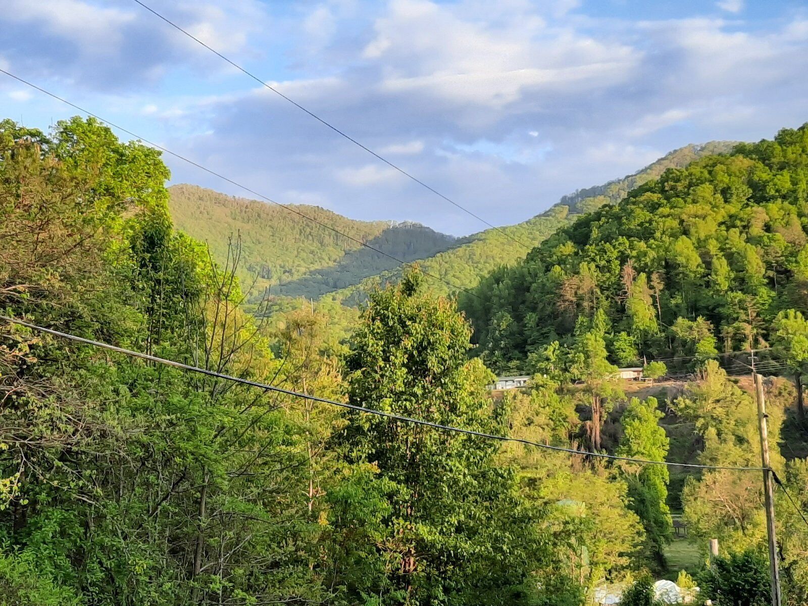 A lush green valley with a small building nestled among trees.