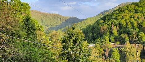 A lush green valley with a small building nestled among trees.