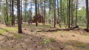 A cabin in a forest with a clear path leading to it, surrounded by tall pine trees. - 1 Mi to Lake: Pet-friendly Arizona Gem (Lakeside)