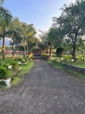 A gravel pathway flanked by lush greenery and palm trees, leading towards a distant structure. - Shanti Forest Resort (Karjat)