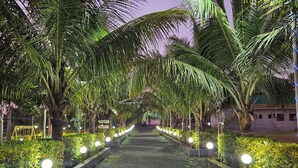 A pathway lined with palm trees and illuminated by ground lights, leading to a building with a purple facade. - Shanti Forest Resort (Karjat)