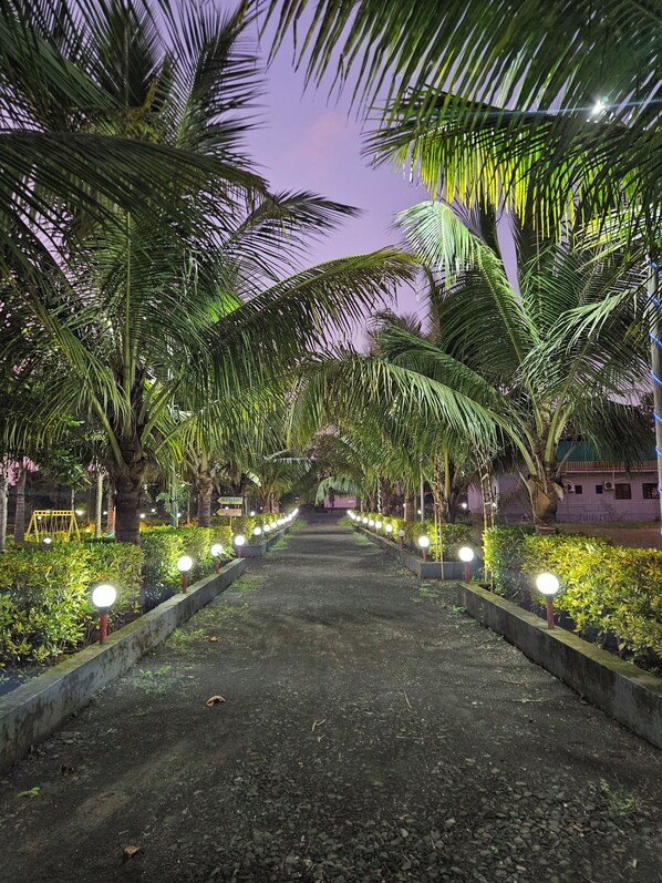 Front of property - evening/night