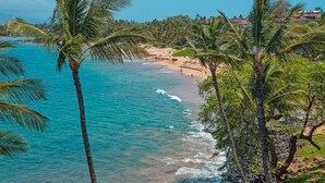 A beach with palm trees, clear turquoise water, and a distant view of buildings.
