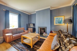 Télévision, cheminée, espaces bureaux