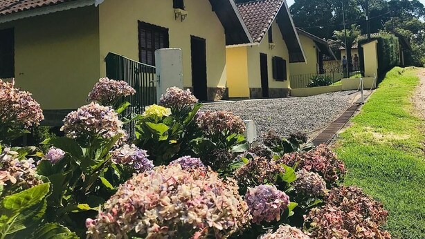 Eine Reihe gelber Gebäude mit braunen Ziegeldächern, ein Kiesweg und Hortensien im Vordergrund.