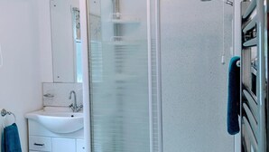 A modern bathroom with a glass shower enclosure, a white sink, and a mirror.