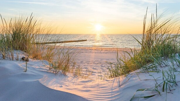 Ein Strand mit Sand und Gras im Vordergrund, eine Holzkonstruktion in der Mitte und das Meer im Hintergrund.