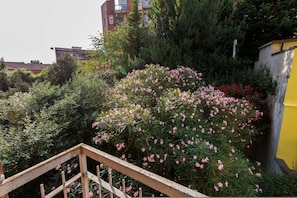 公寓 | 1 多间卧室