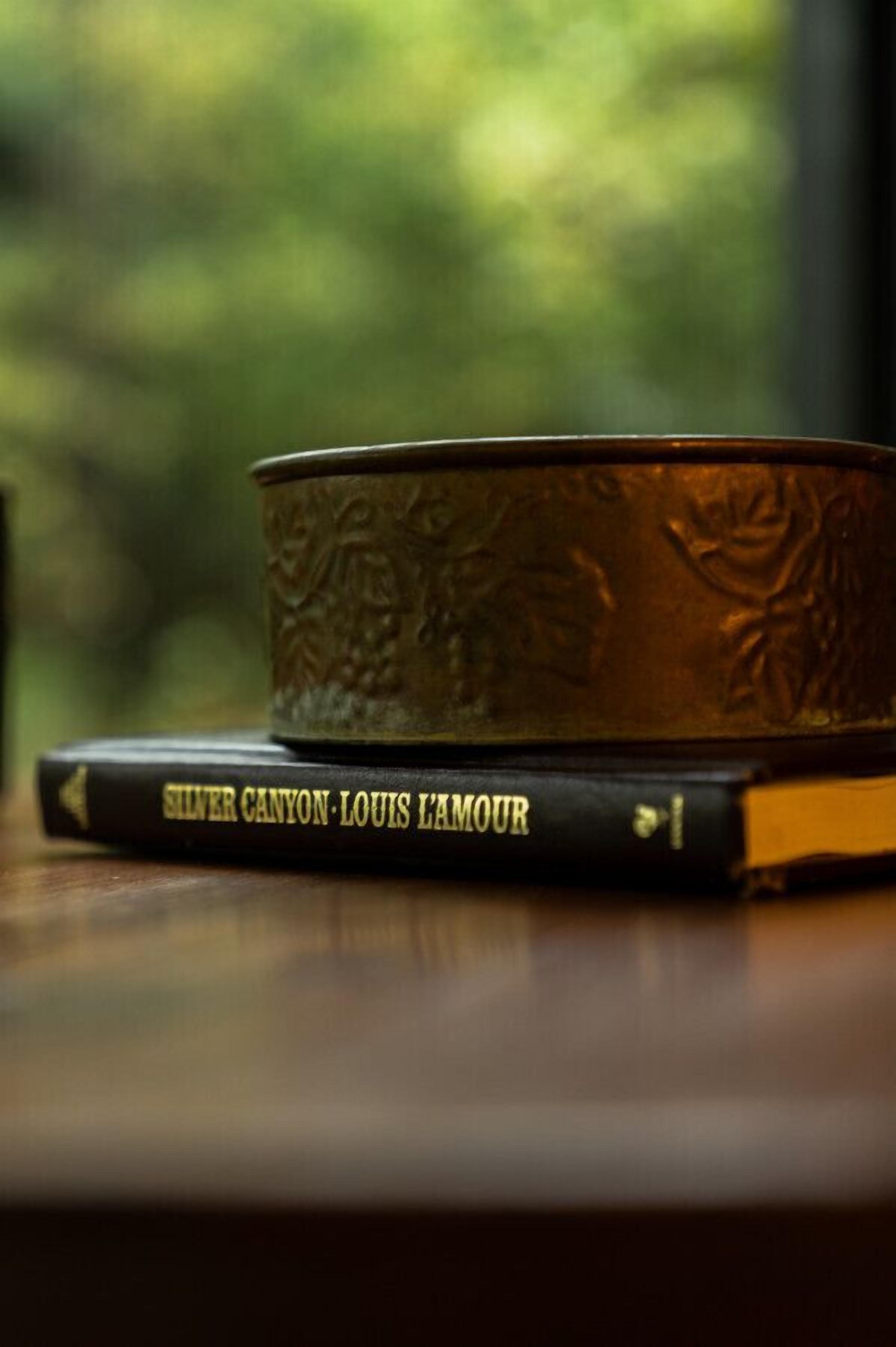 Een messing dienblad met reliëfdecoraties, geplaatst op een boek getiteld 'Silver Canyon - Louis LaMoure'.