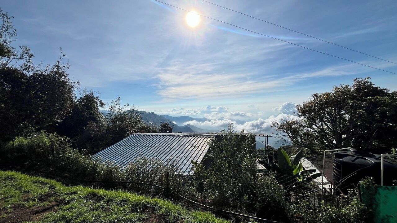 Uma casa com telhado de metal, rodeada por vegetação exuberante e montanhas ao fundo.