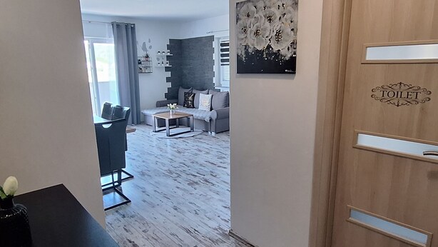 A modern living room with a grey sofa, a coffee table, and a painting on the wall. - Apartment Belisima Delux (Rab)