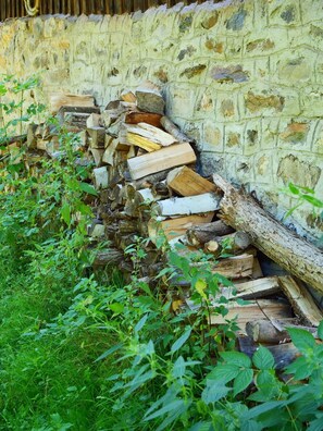 Property grounds - Traditional cottage in picturesque Râșca with WiFi (Râșca)
