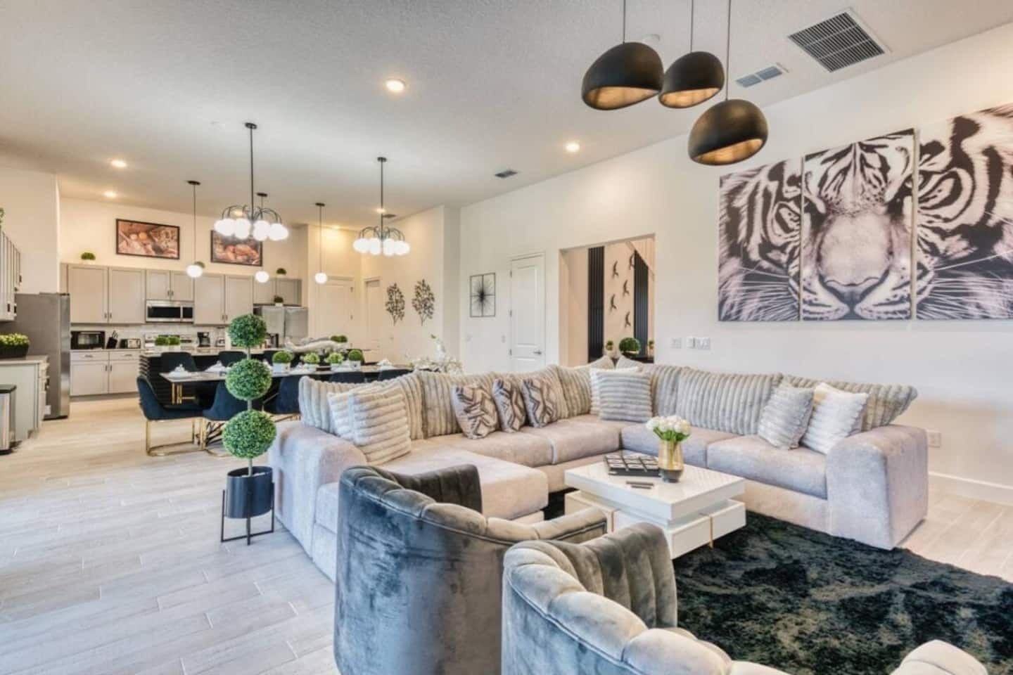 Télévision, cheminée, jeux vidéo, espaces bureaux