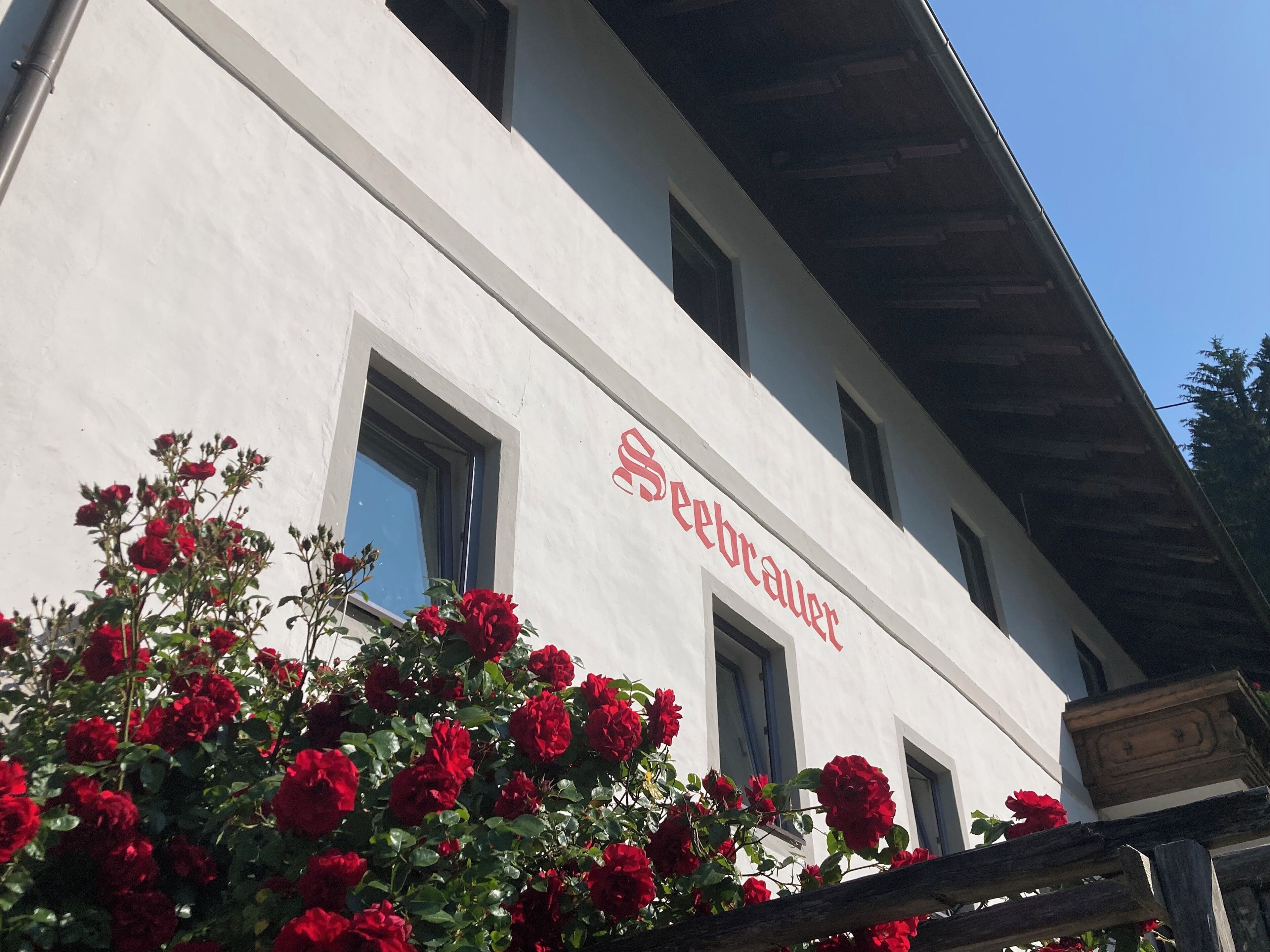 A building with a white facade and a sign that reads "Seebauer."