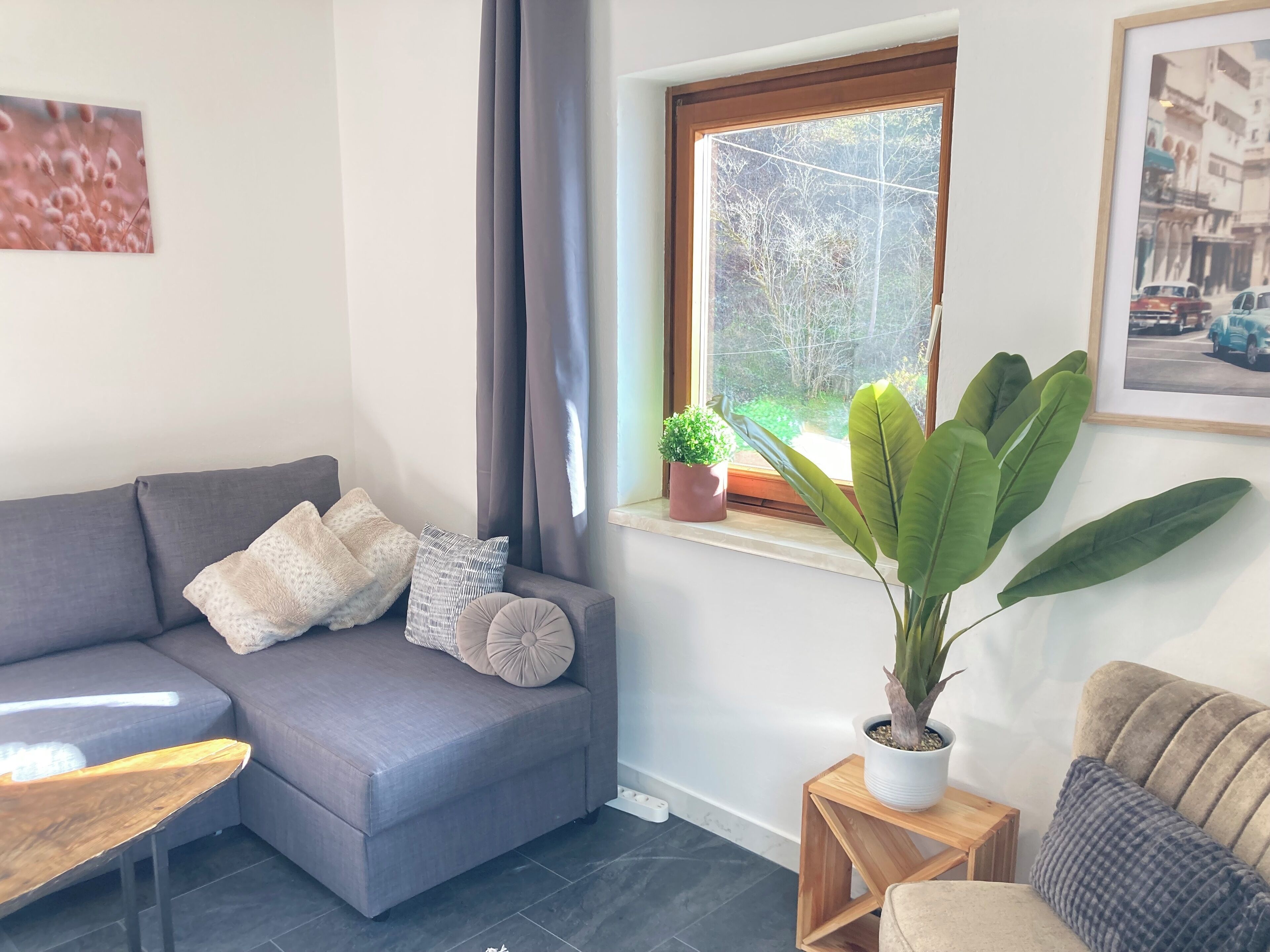 A modern living room with a grey sofa, a small wooden table, a potted plant, and a window with a view of trees.