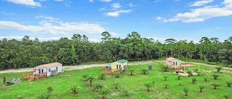 A residential area with multiple houses, a grassy field, and a dense forest in the background.