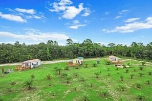 Una zona residencial con varias casas, un campo cubierto de césped y un bosque denso al fondo.