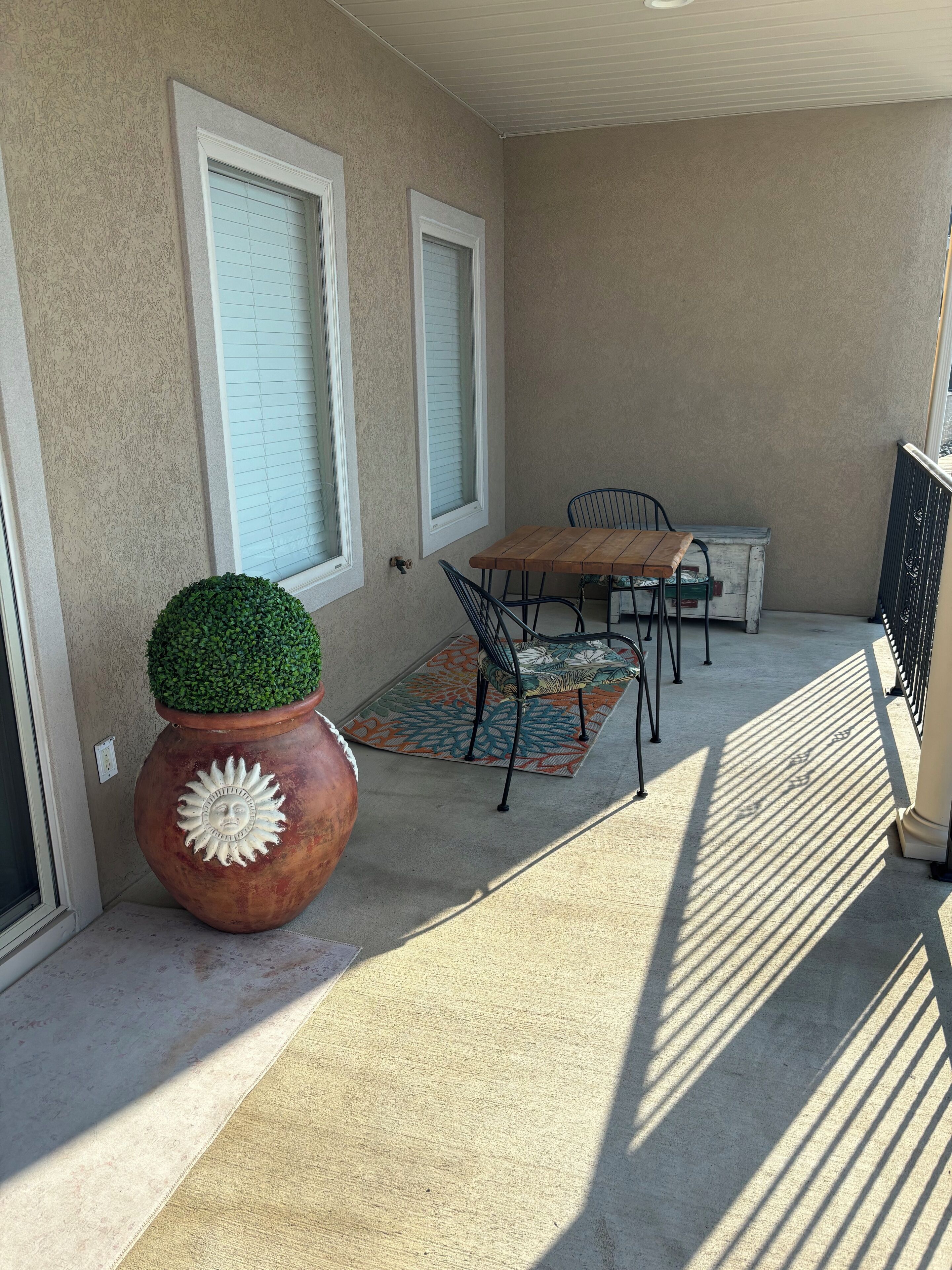 A patio with a table and chairs, a potted plant, and a patterned rug.