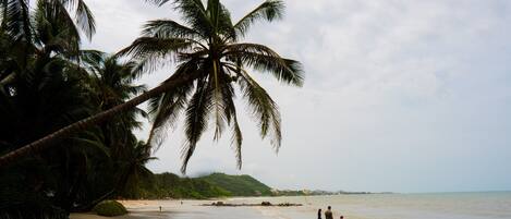 在海灘附近、沙灘巾