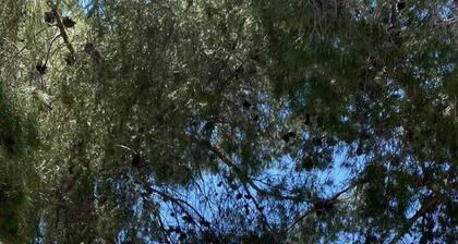 Garden Studio by the sea