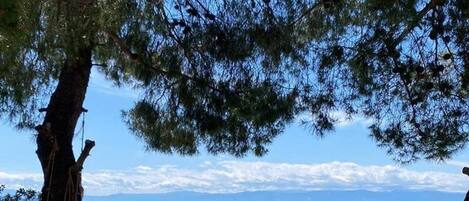 Nhà, hút thuốc | 2 phòng ngủ