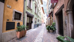Una estrecha calle adoquinada bordeada por edificios con grandes ventanales y puertas, algunos con plantas en el frente.