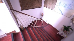 Stunning staircase with framed maps and a decorative piece, flanked by a potted plant.