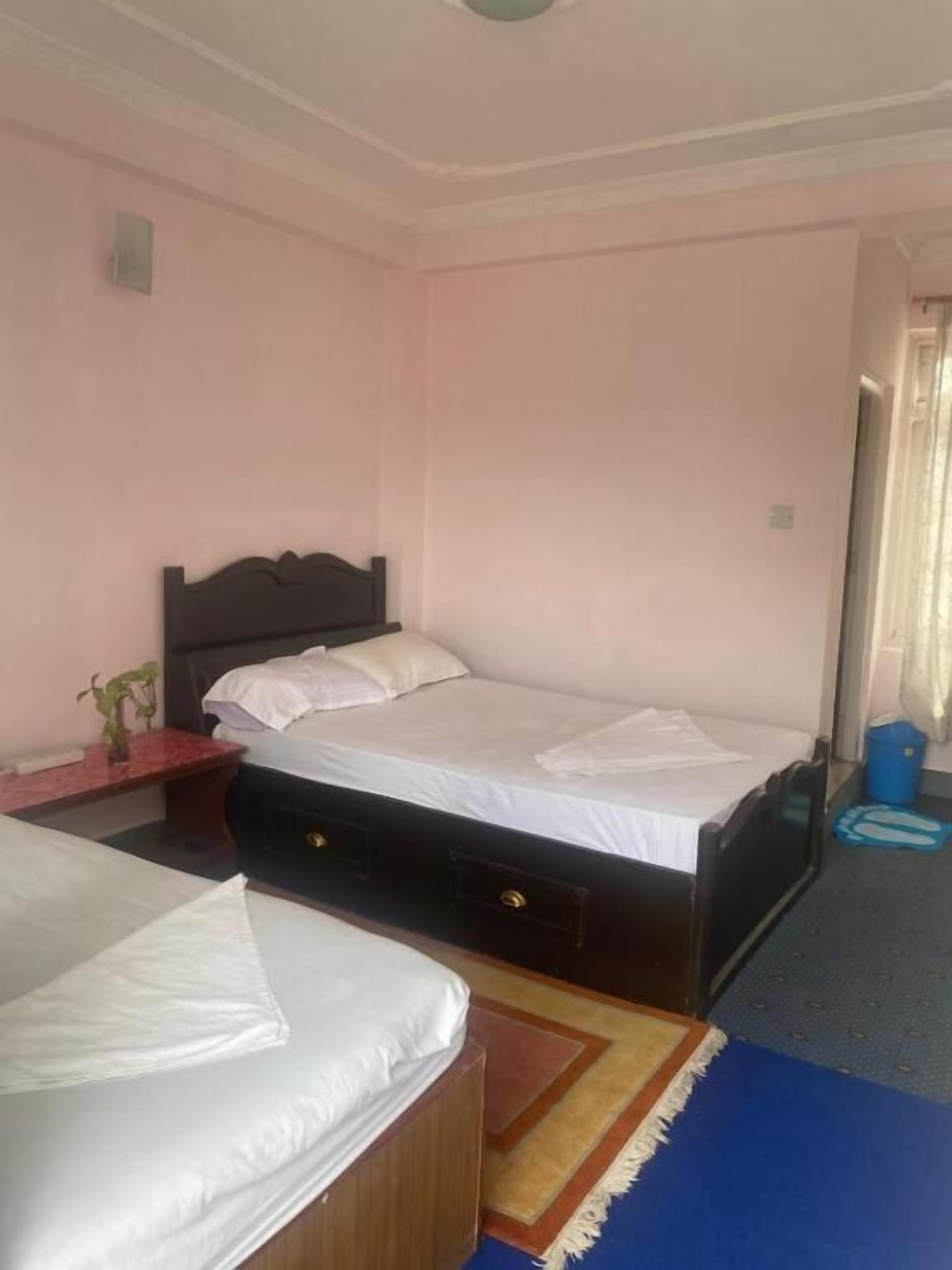 A bedroom with two single beds, a nightstand, a small table with a plant, and a blue carpet.