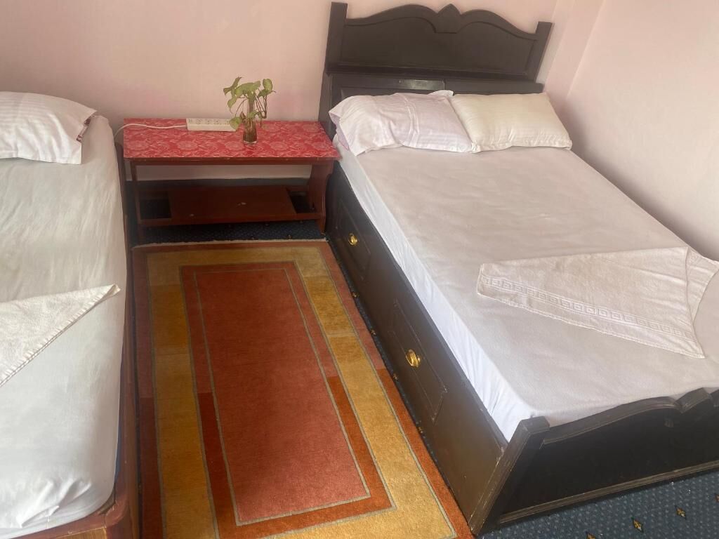 A bedroom with two single beds, a small table with a plant, and a red and gold striped rug.