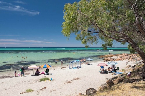 Paradiso: Pet-Friendly Beachside Bliss