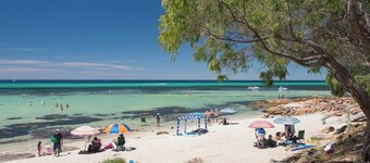 Paradiso: Pet-Friendly Beachside Bliss