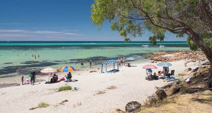 Paradiso: Pet-Friendly Beachside Bliss