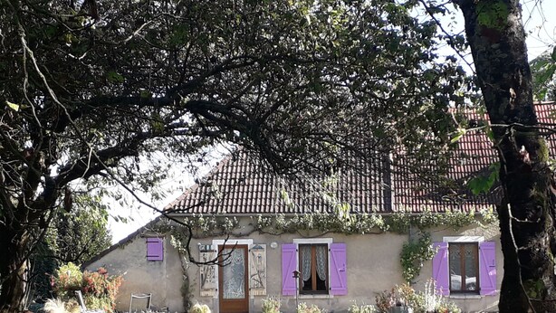 Une maison de campagne au toit recouvert de tuiles, aux volets violets et dotée d’un jardin avec une pelouse et des plantes en pot.