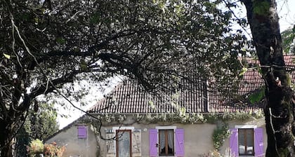 Lavender shutters