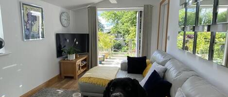 Een moderne woonkamer met een bank, een salontafel, een televisie en een hond.
